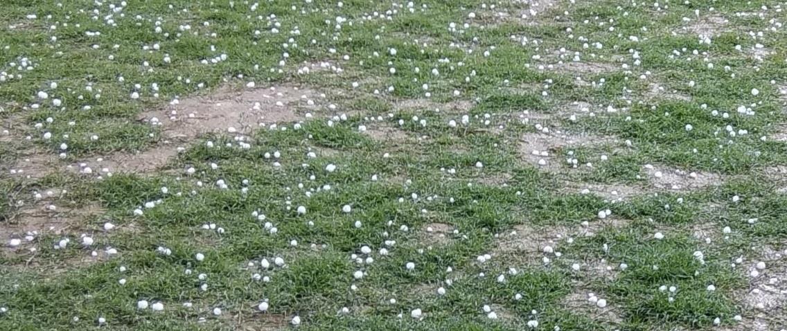 Hailstorm damages crop in Rafiabad Baramulla