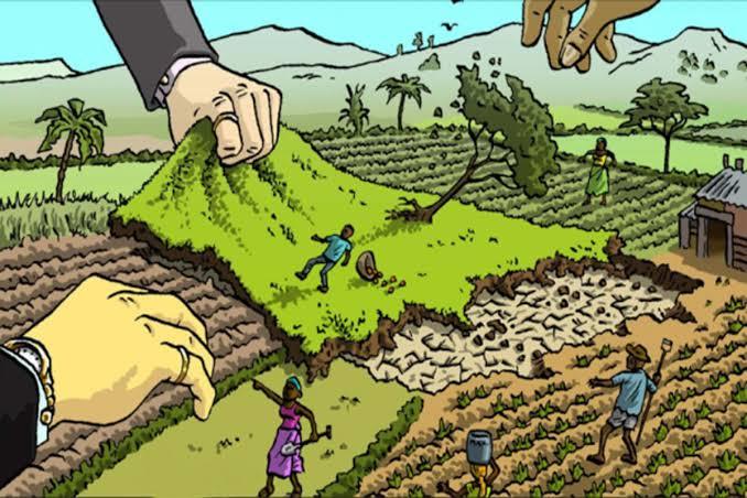 Around 10 kanal Kahcharai land retrieved during anti- encroachment drive at Humhama