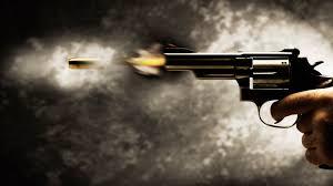Militant, his 'active associate' killed in brief shootout in Shopian district: Police