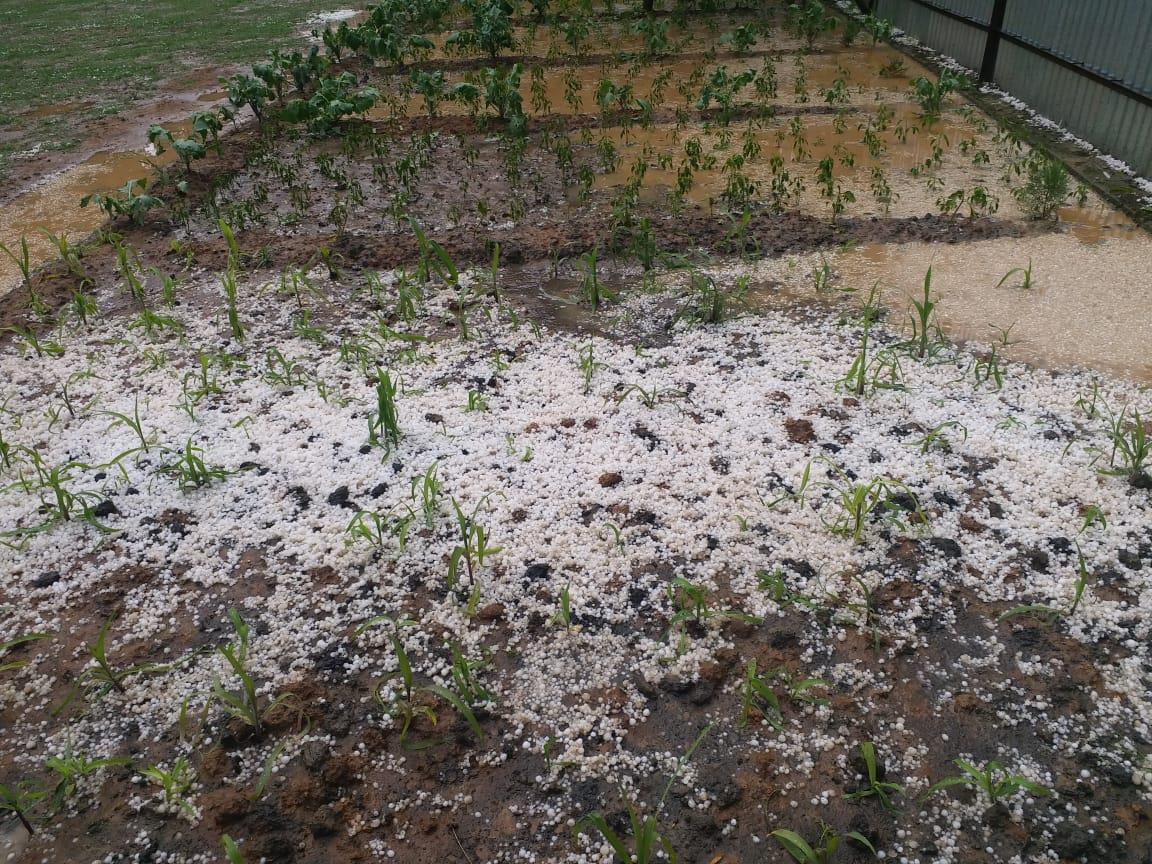 NC grieved over losses to people across Kashmir due to incessant rains, hail storm