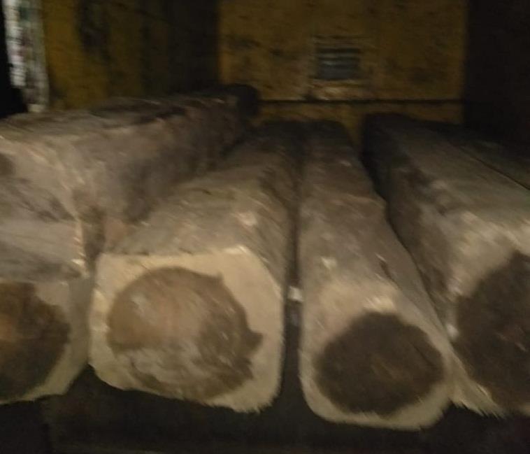 Illicit timber seized in Lolab
