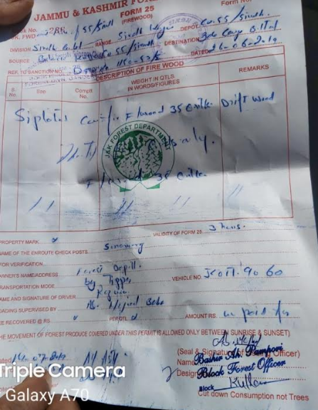 Forest loot continues unabated in Kangan with alleged support of forest officials