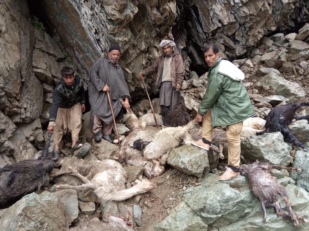 Over 100 sheep, goats killed in Tral cloudburst