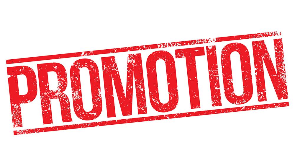 ADGP Security grants promotion to 264 security personnel