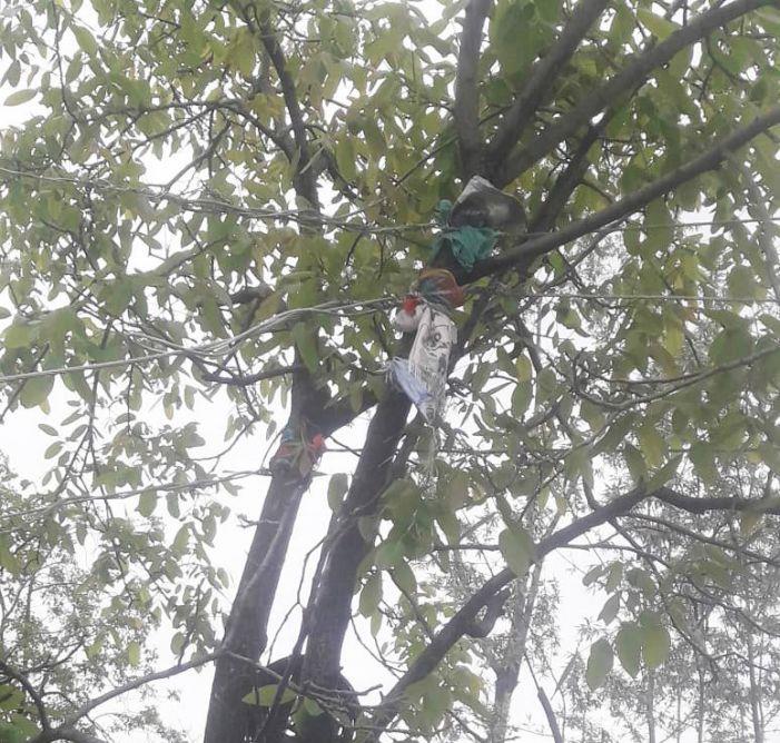 Electric wires hanging on trees in Handwara Village: Residents
