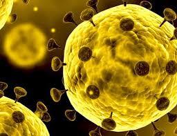 Coronavirus (COVID-19) threat, Preparedness; Div Com visits Airport, Isolation Hospital