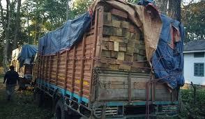 Forest department seizes two vehicles with illicit timber in Anantnag