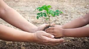Plantation Drive held in Anantnag