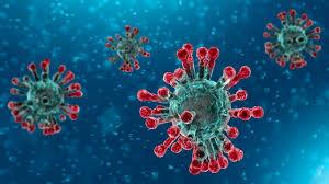 Govt nominates officers to step up coronavirus control efforts