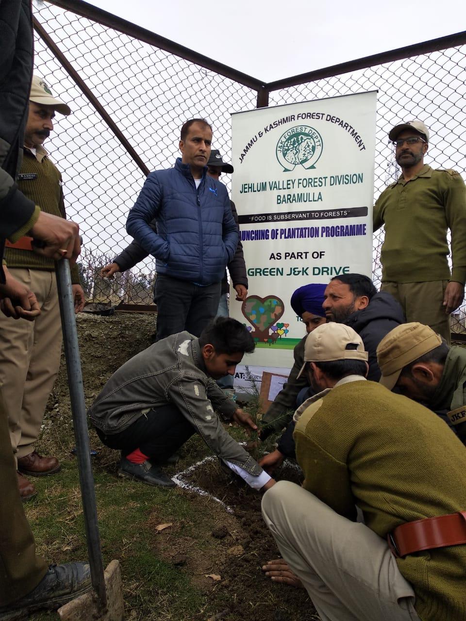 JV forest division holds Plantation in Baramulla