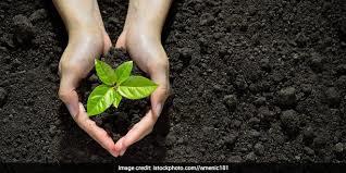 V-C launches plantation drive in CUK; highlights need to plant saplings