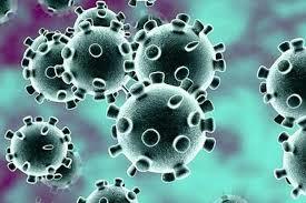 Coronavirus: Srinagar administration reaches out to mosques in efforts to spread awareness about precautions