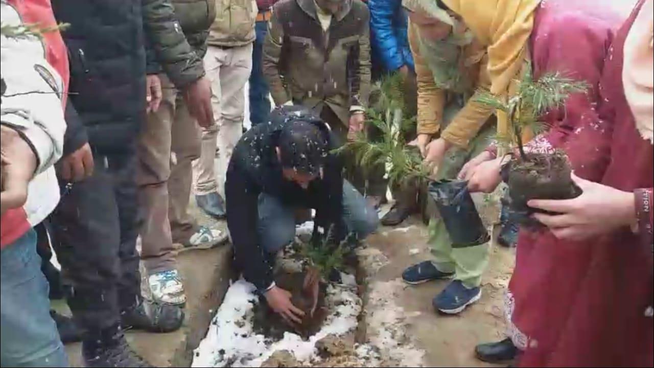 Plantation drive held at Ferozpora Tangmarg