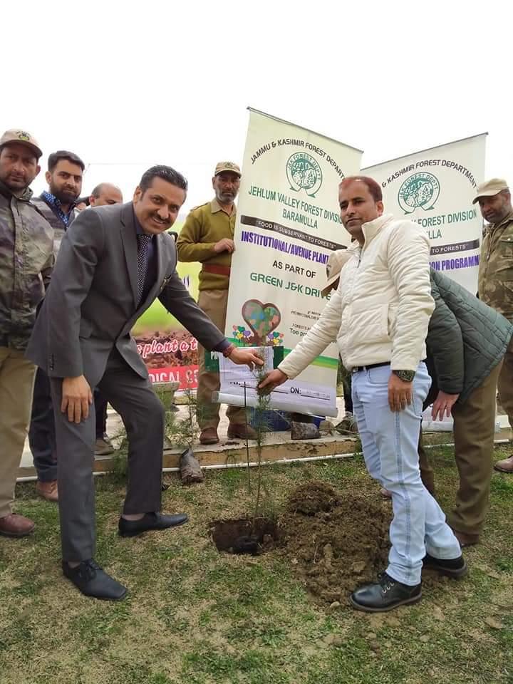 J.V FOREST Division Bla, organised plantation drive