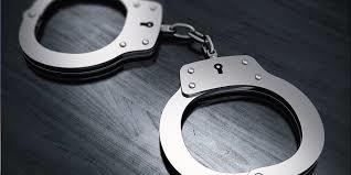 HM module busted in Kupwara : Police