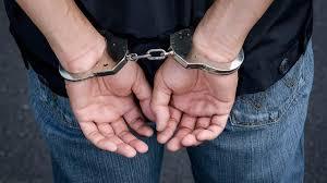 Two militant sympathizers arrested, Arms and Ammunition recovered :Police