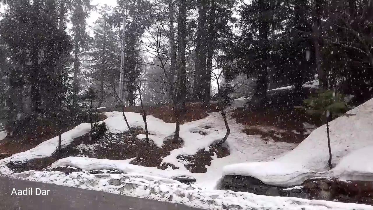 Gulmarg receives fresh snowfall, rain in Kashmir parts