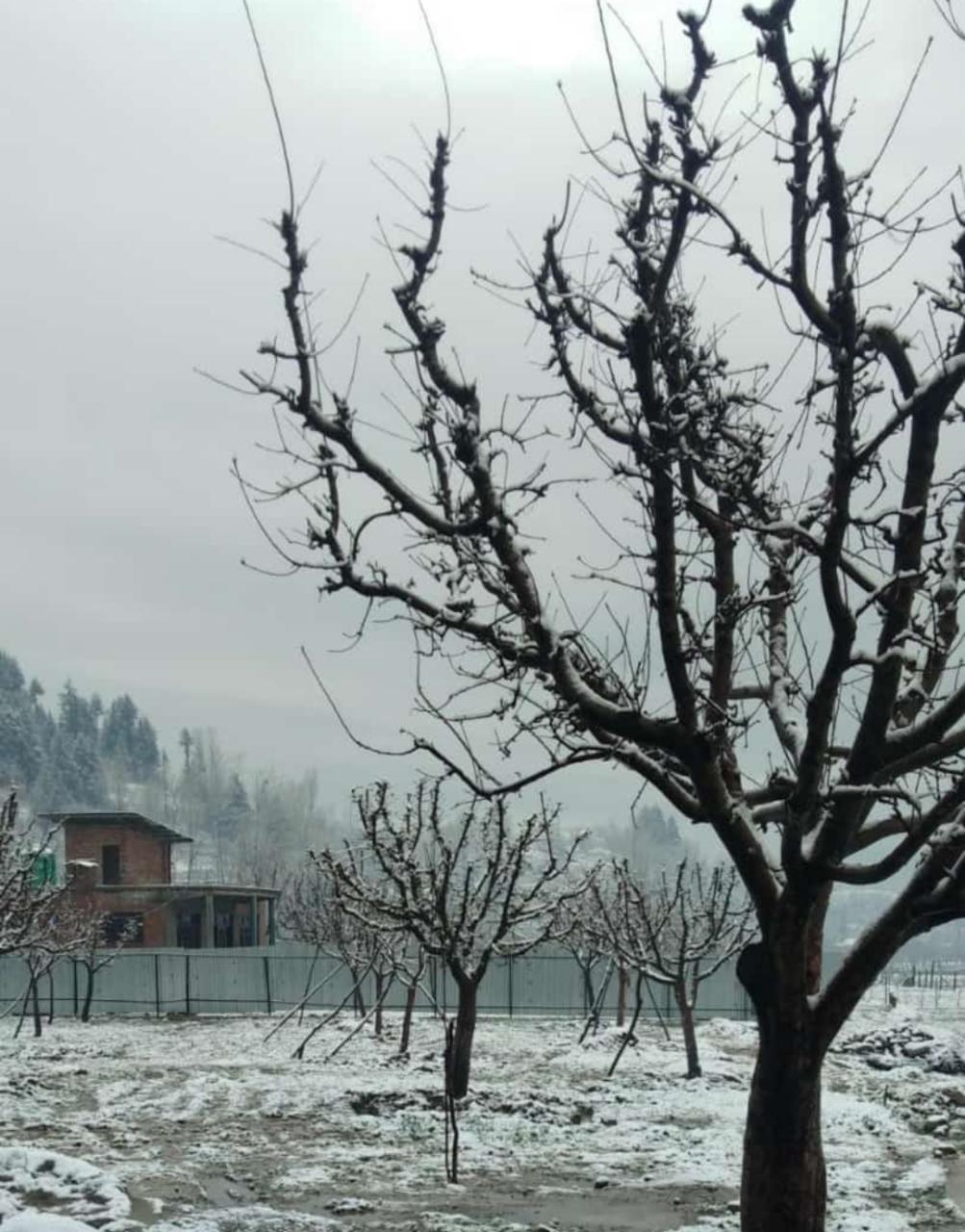 Upper reaches of Ganderbal district received fresh snowfall