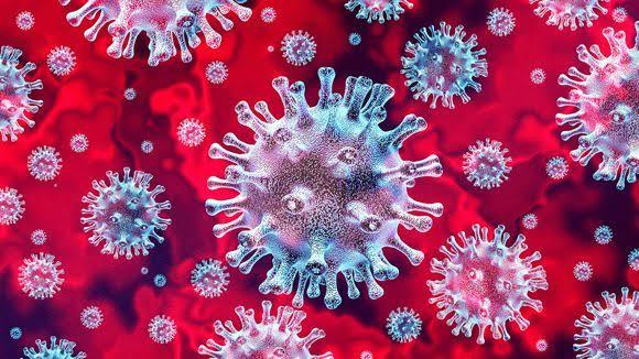 14 more test positive for Covid-19 in Kashmir, tally rises to 92 in J&K