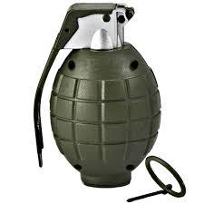 Three CRPF men injured in Budgam grenade attack: IGP
