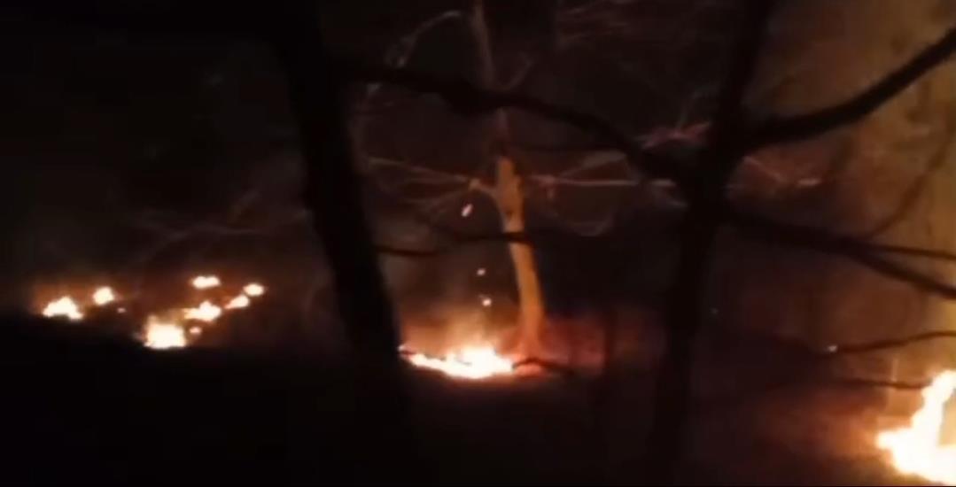 Fire breaks out in Kulgam Forests