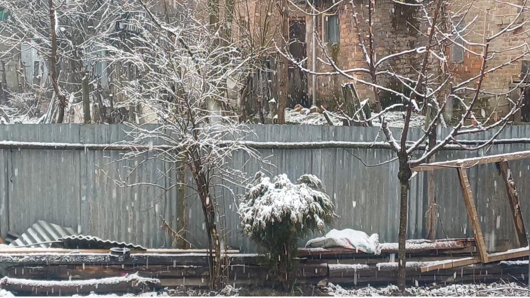 Kashmir Receives Moderate Rain, Gulmarg Records Fresh Snowfall