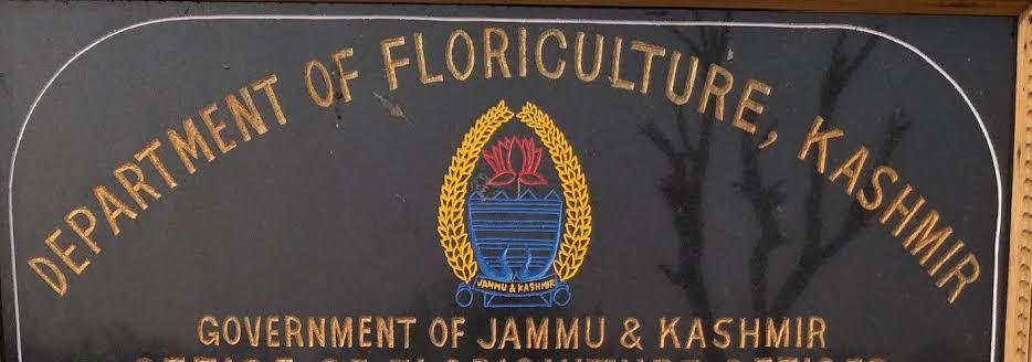 No Illegal Tree Felling in Ranibagh, Only Authorized Pruning: Floriculture Dept