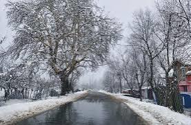 All Major Roads Cleared in Sopore After Heavy Snowfall: ADC Sopore