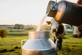 Bandipora Produces 85,000 Metric Tons of Milk Annually, 90 Percent Consumed Locally: Govt