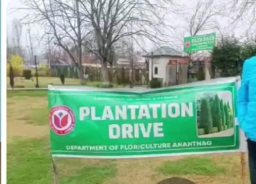Director Floriculture Kashmir Launches Plantation Drive in Wazir Bagh, Anantnag