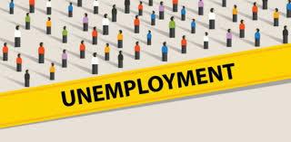 J&K Unemployment Falls from 6.7 Percent to 6.1 percent Since 2019: Govt