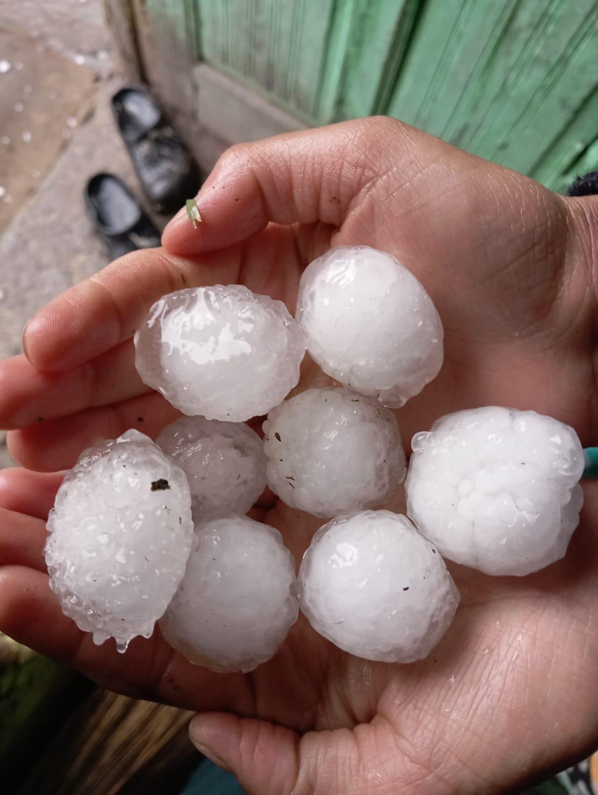 Hailstorm Wreaks Havoc on Orchards in Shopian Villages