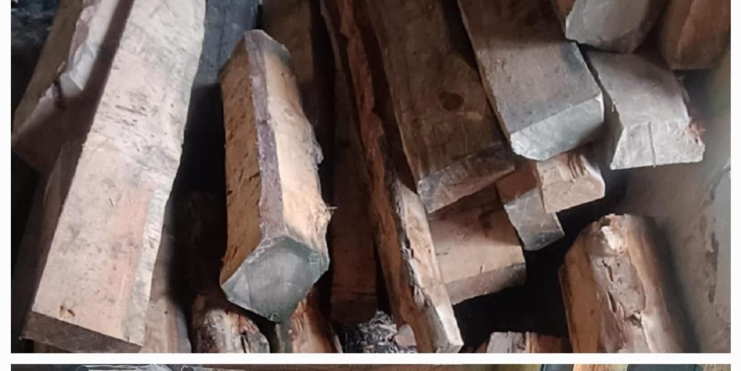 Handwara Police Continues Crackdown on Timber Smuggling; 28 Illegal Logs Seized in Darashpora