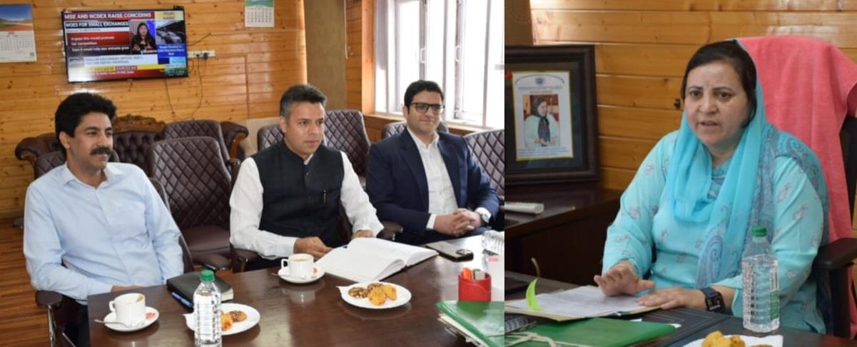 Sakeena Itoo holds meet with DCs of Anantnag, Kulgam, Srinagar districts