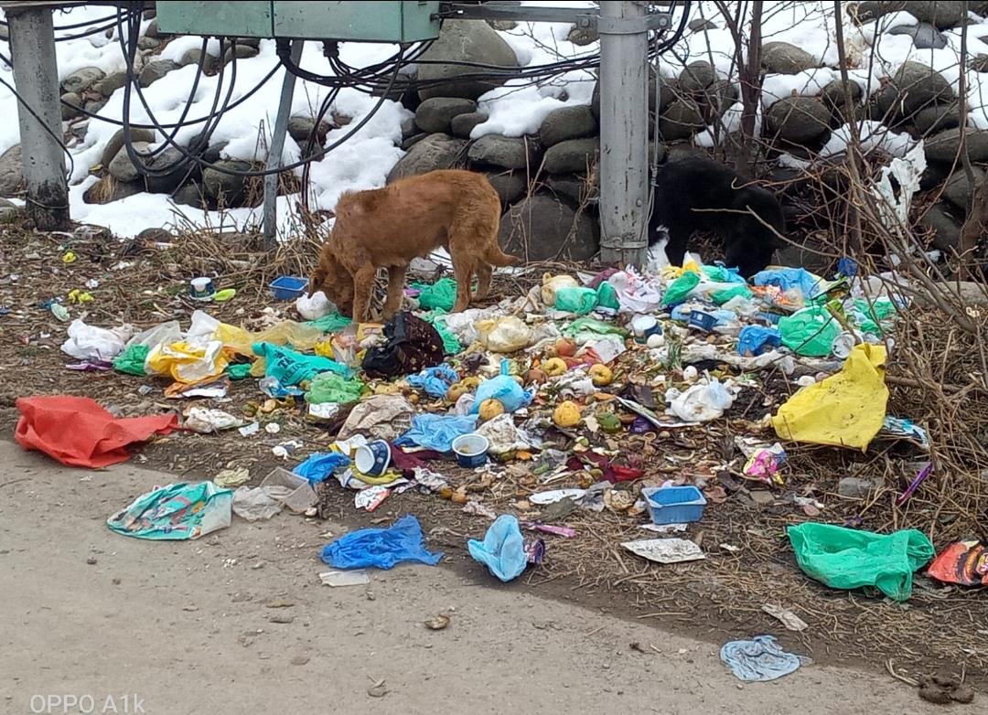 Sanitation Breakdown Plagues Beerwah, Sparks Health Fears