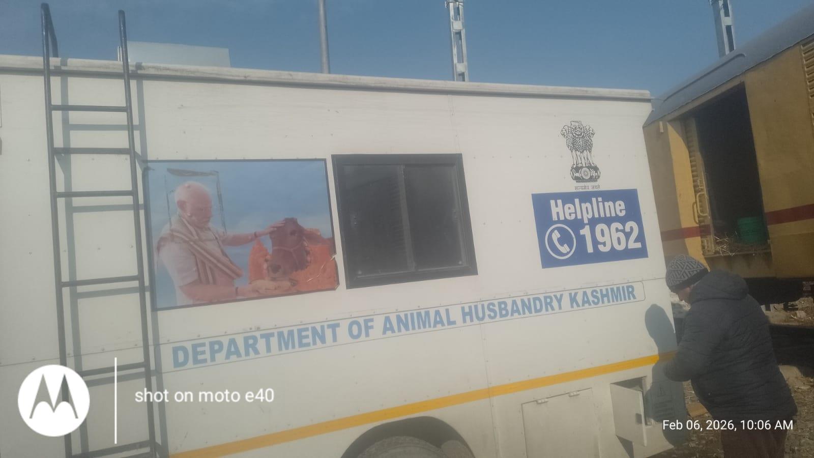 Exotic bulls reach Kashmir by rail from Bangalore