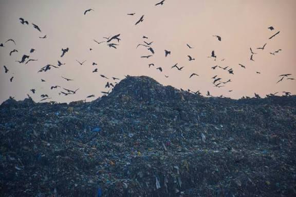 Achan garbage dump in Srinagar to undergo phased cleanup