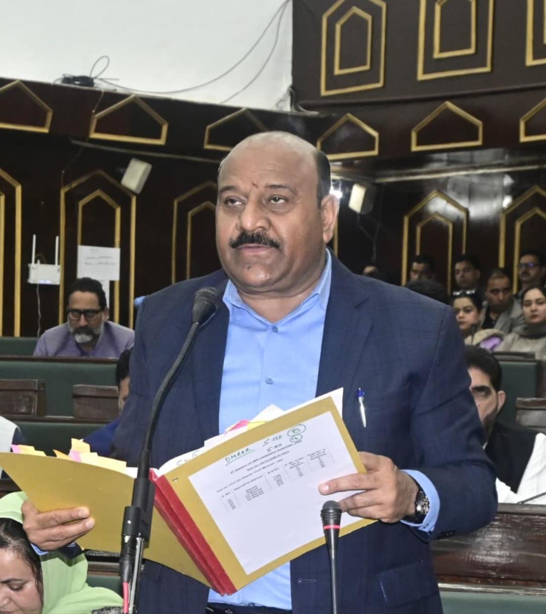 Don't Act Independently, Power Vests With People's Representatives: J&K Deputy CM to DCs