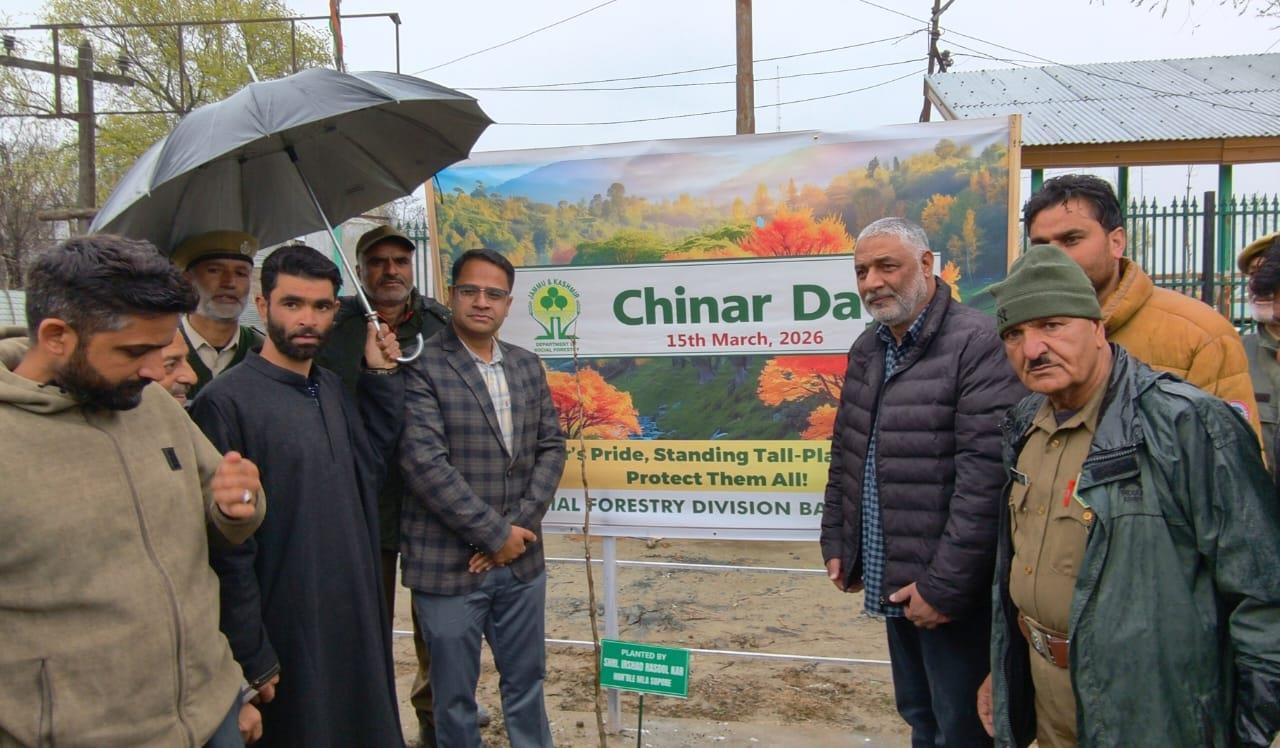Chinar Day: MLA Kar Plants Sapling in Sopore, Urges Public to Protect Environment