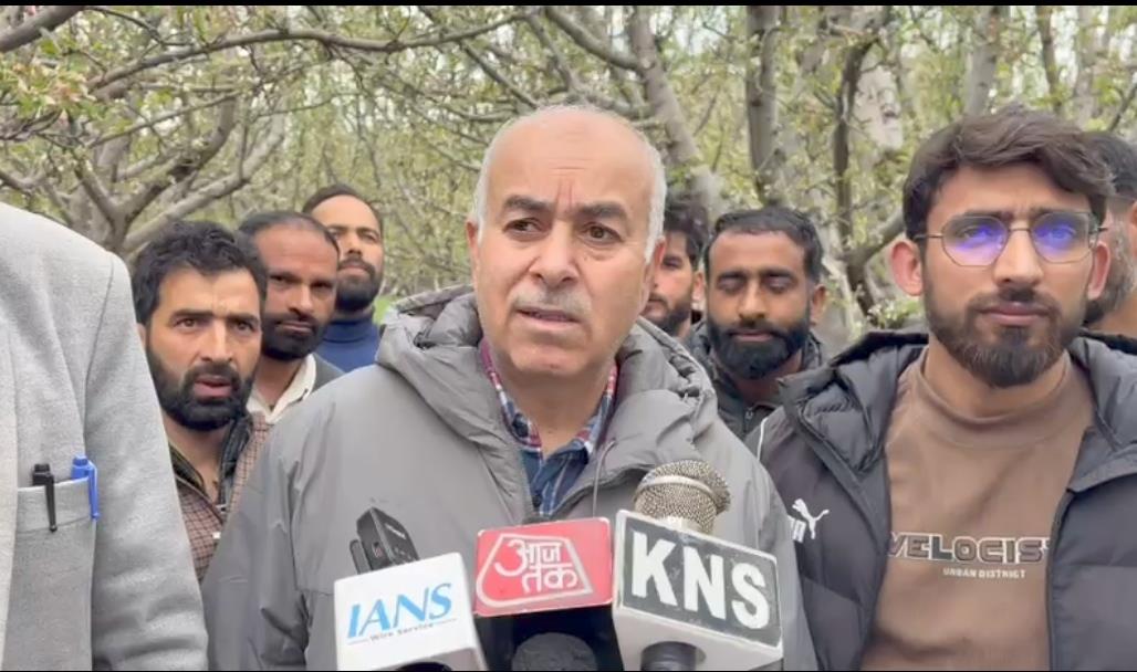 Hailstorm damages apple blossoms in Shopian, farmers seek urgent relief