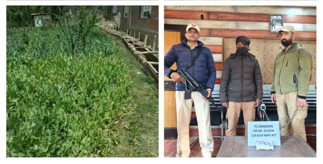 Police nab Bihar native with charas, uncover poppy cultivation in Yall Pattan