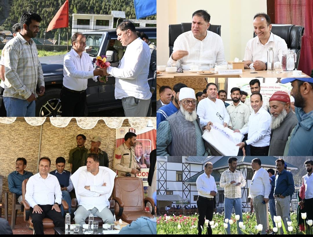 MLA Gurez launches first tulip yard, Kala Zeera farms in valley