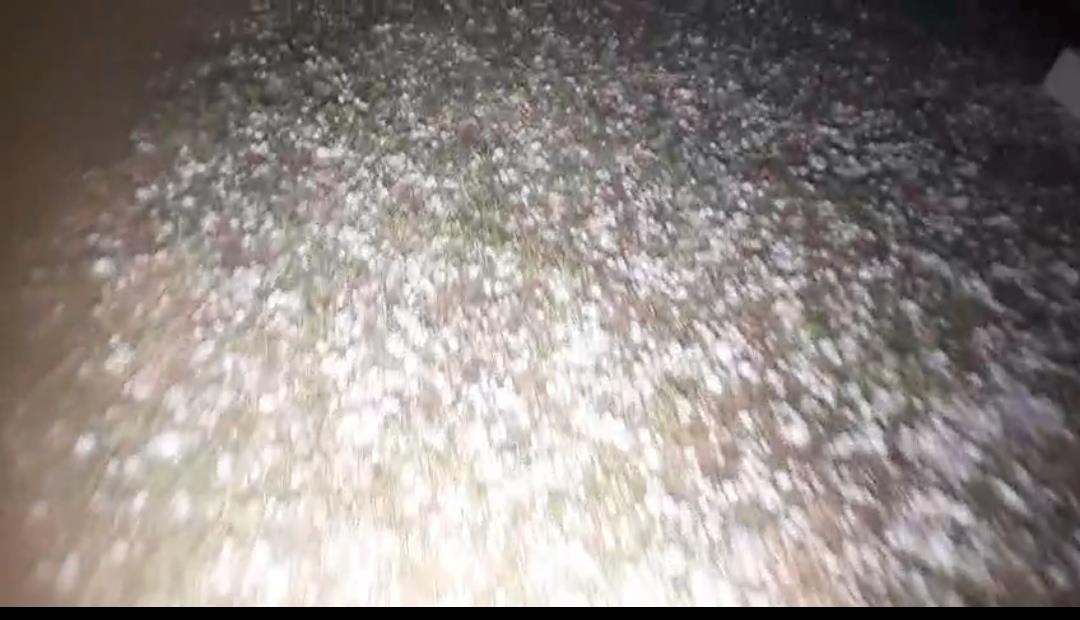 Handwara hailstorm devastates orchards, crops; growers seek immediate relief