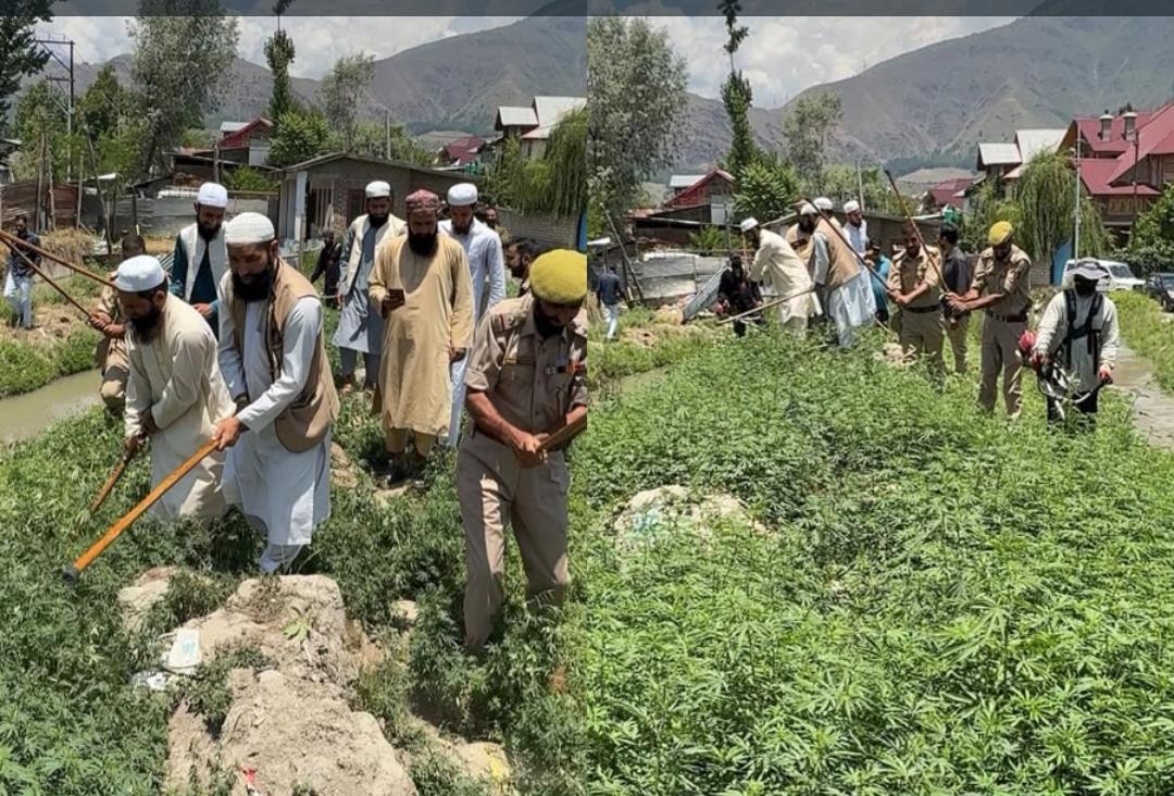 Srinagar Police Intensifies Anti-Drug Drive