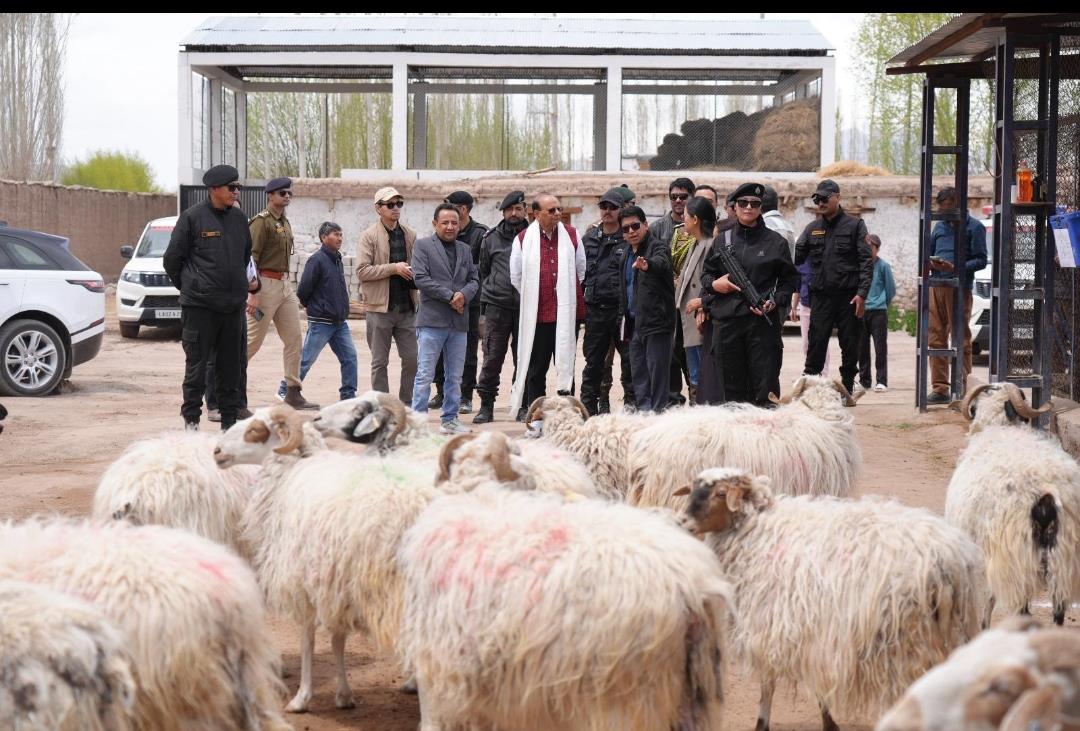 L-G Vinai Kumar Saxena approves two landmark initiatives to strengthen Ladakh's Pashmina sector