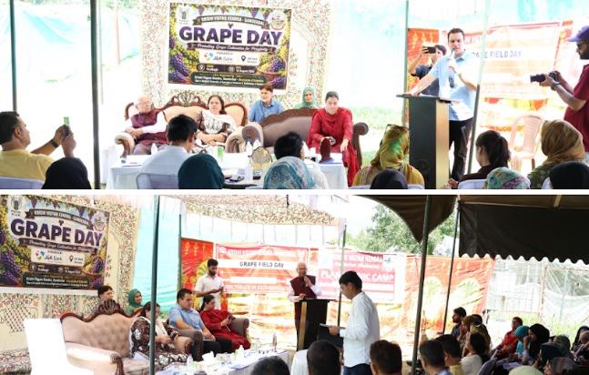 ‘Grape Man of India’ Shares Expertise with Kashmir Growers at KVK Ganderbal Grape Day