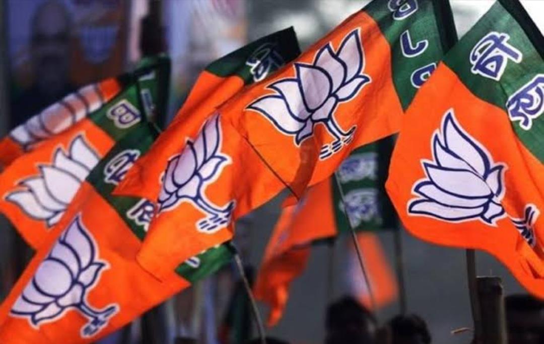 BJP overhauls organisation, appoints 13 vice presidents, morcha chiefs