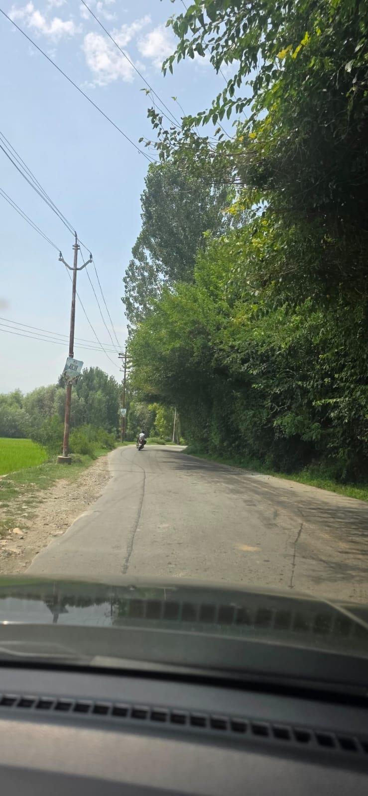 Overgrown tree Branches turn Bandipora-Srinagar road into an accident risk